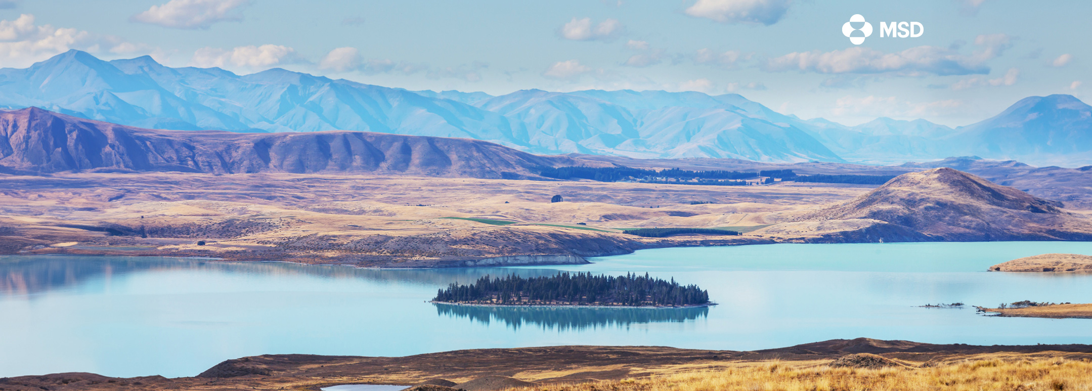 Wide panoramic  of Central Otago countryside.